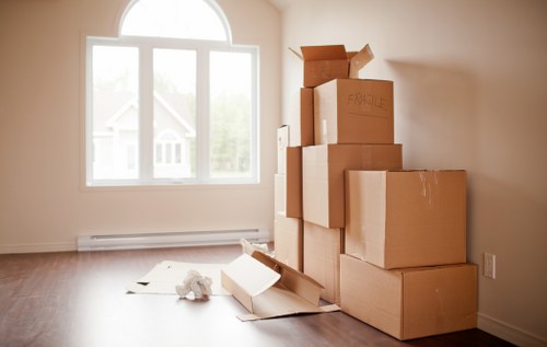 Climate-conscious storage unit setup in Woodsidepark